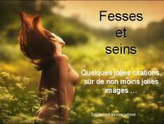 CITATIONS FESSES ET SEINS.jpg
